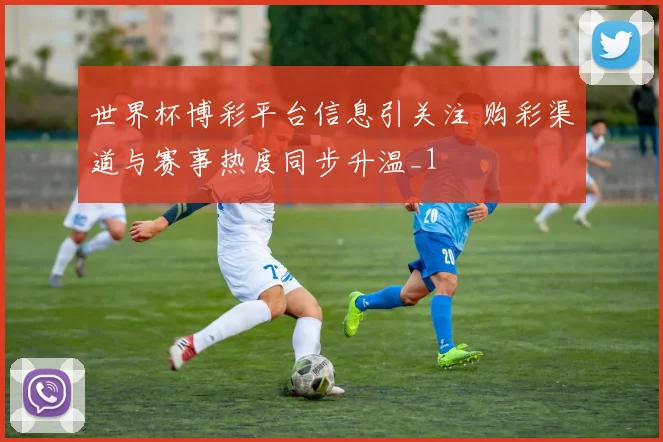世界杯博彩平台信息引关注 购彩渠道与赛事热度同步升温_1